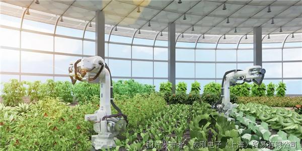 智慧農業大有可為，“數字種地”更輕松